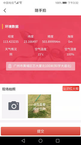 红火蚁(2)
