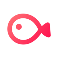 VLLO V12.12.6