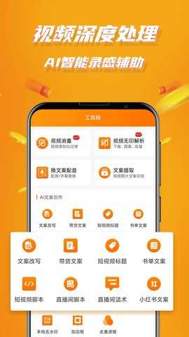 视频带货图1