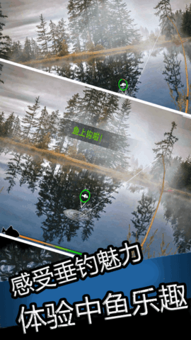 真实钓鱼大师(2)