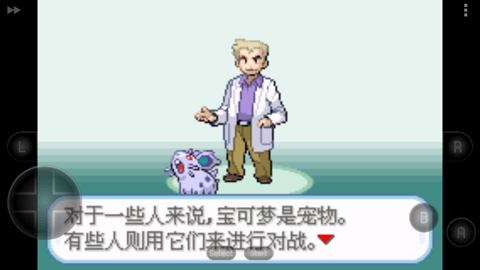 口袋妖怪圣灰中文版图1