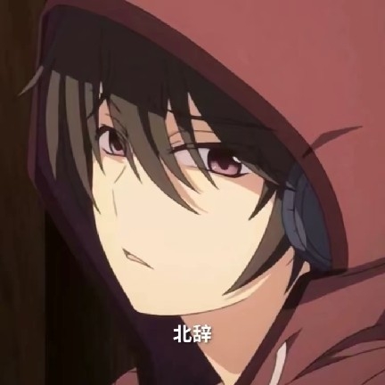 北辞弱网版