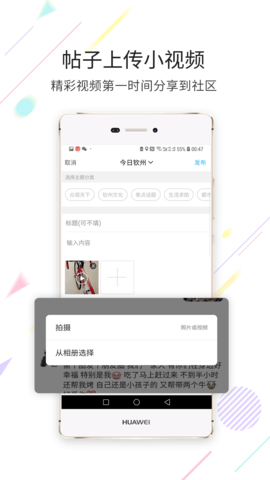 白话猫手机版图2