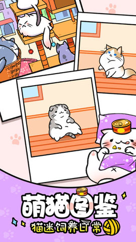 猫咪公寓(1)