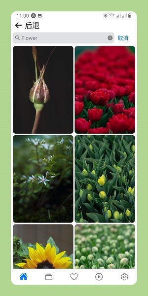 Unsplash(2)