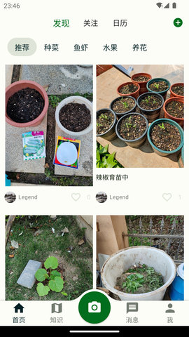 鱼菜记(1)