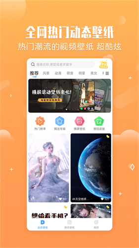 小鸟壁纸免费版图1