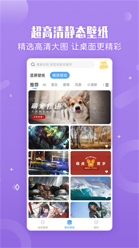 小鸟壁纸免费版图3