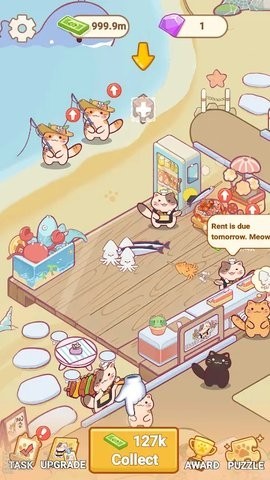 猫咪美食海摊(1)