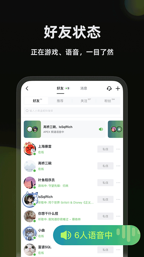 黑盒语音(5)