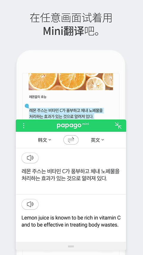 Papago免费原版图5