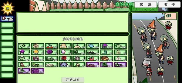 pvzbt(4)