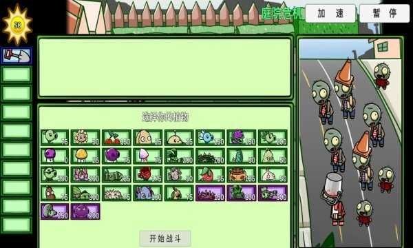植物大战僵尸swf版图2
