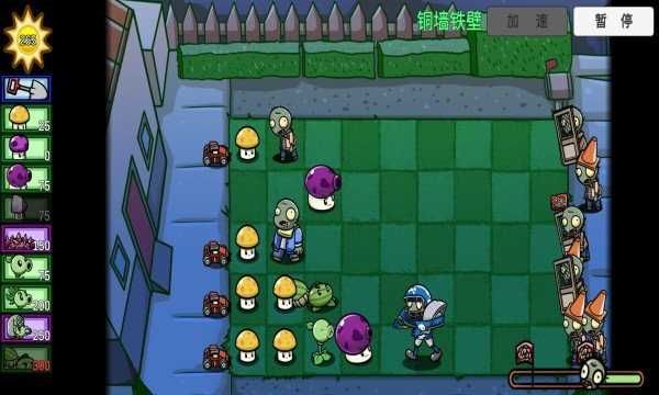 植物大战僵尸swf版图4