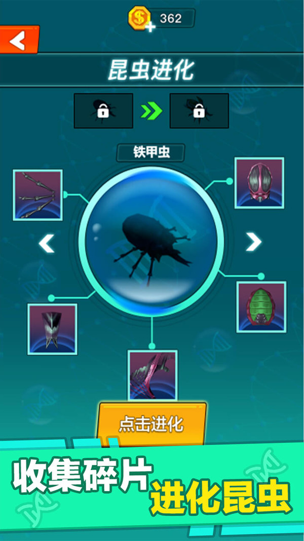 昆虫进化大乱斗图2