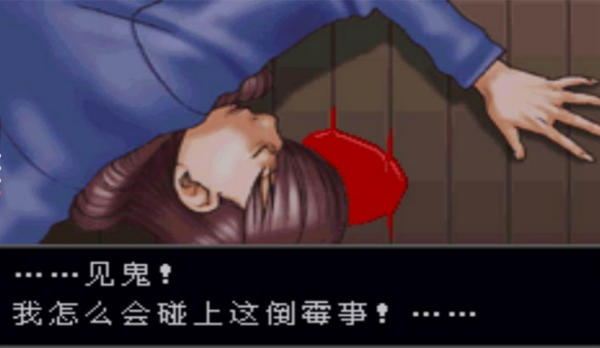 逆转裁判(4)
