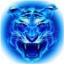 四虎影音