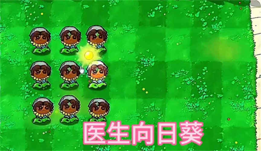 植物大战僵尸第五人格版(1)
