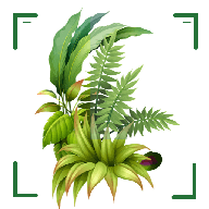 识万物扫一扫直装版