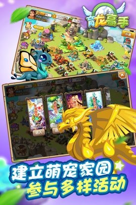 育龙高手(4)