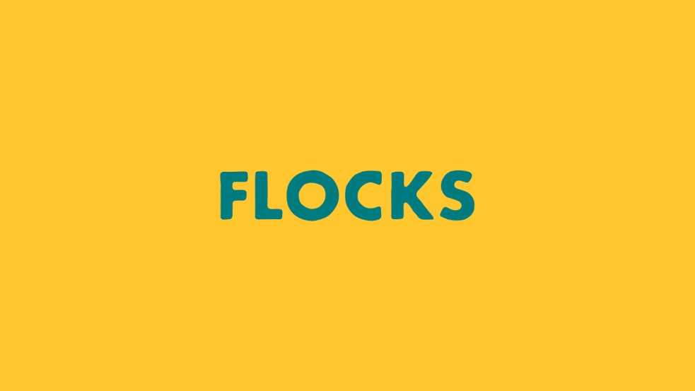 flocks人群