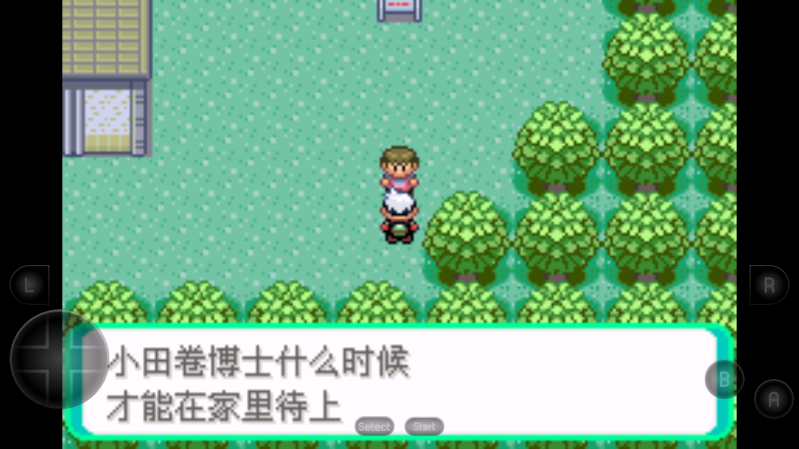 口袋妖怪绿宝石通用版(4)