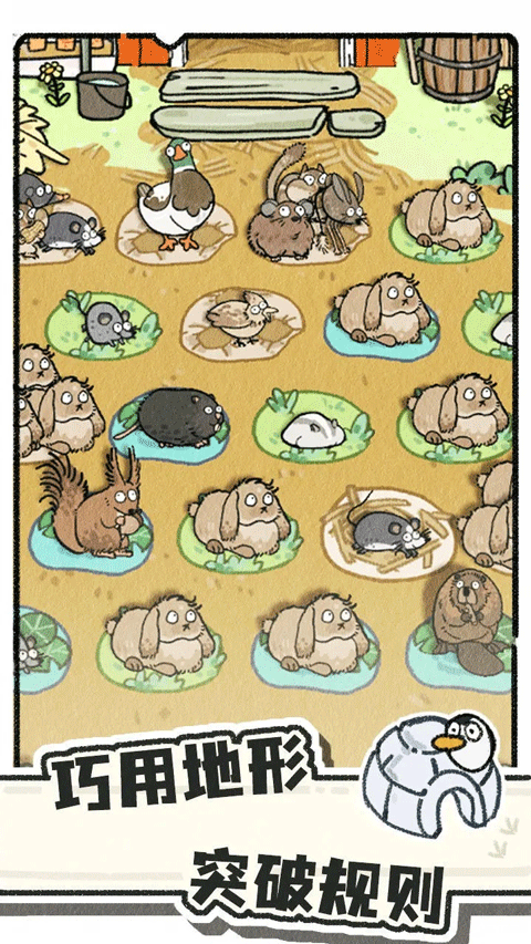 猫神牧场(1)