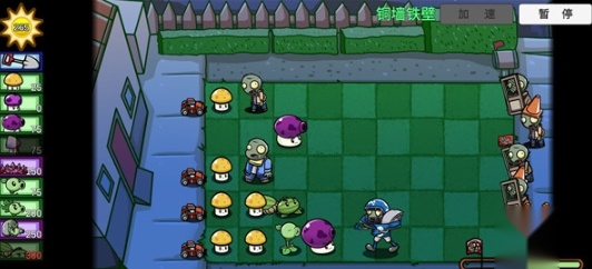 pvzbt(1)