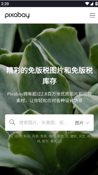 pixabay通用版(3)