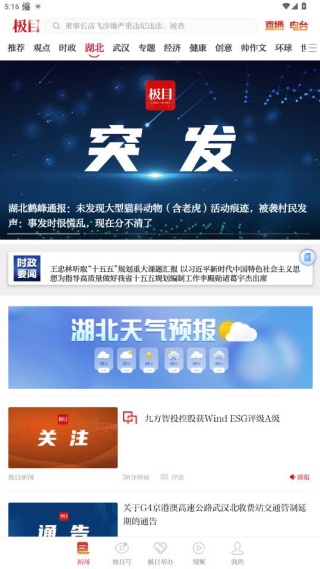 极目新闻