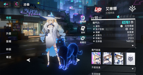 猫之城