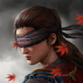 影子猎人的传说免费版