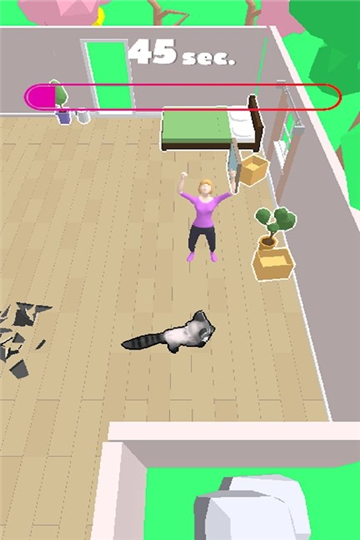 浣熊破坏房屋(2)