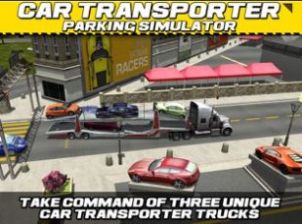 印度汽车3d驾驶模拟器(4)