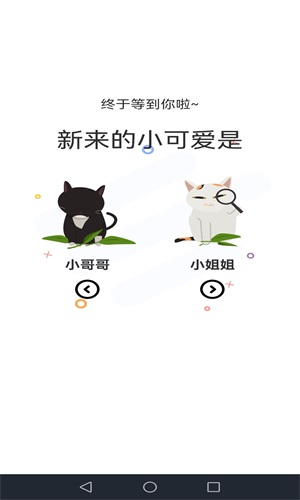 喵上漫画图4