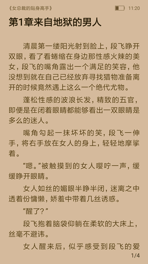 飞跃看书正版图4