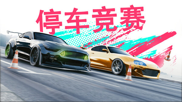 真实泊车2全车解锁版(3)