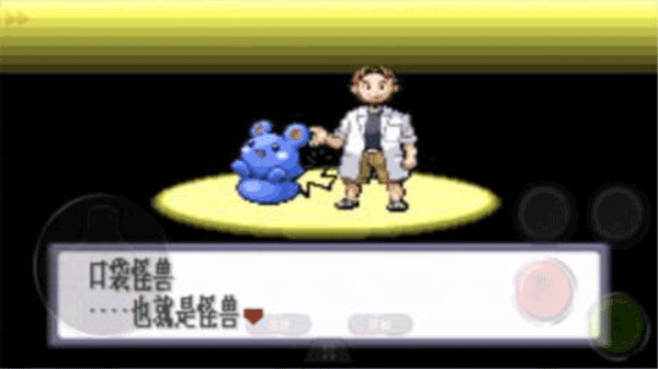 口袋妖怪红宝石无敌版