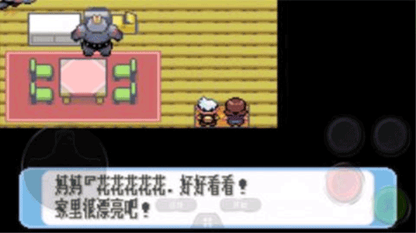 口袋妖怪红宝石无敌版