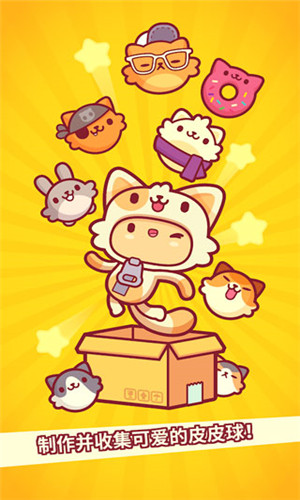 皮皮猫