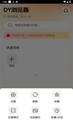 DY浏览器免费原版图2