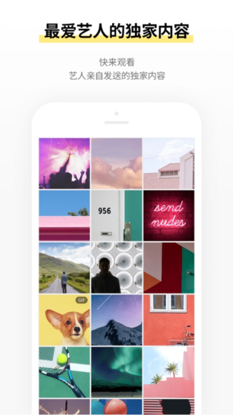 INB100bubble正版图1