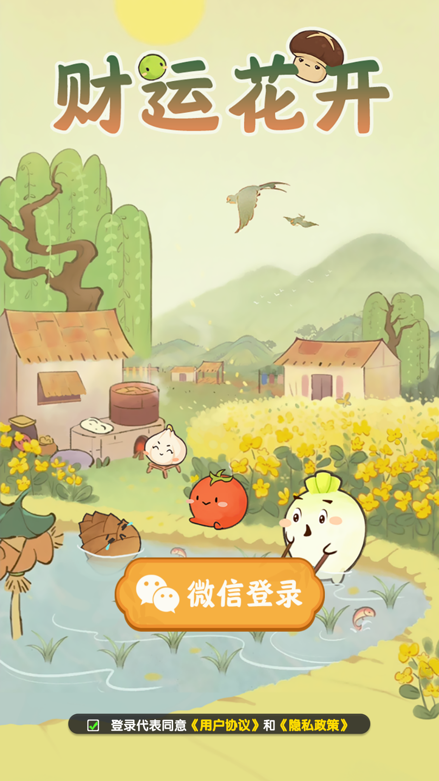 财运花开(2)