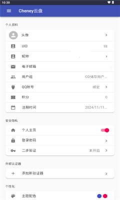 Cheney云盘图1