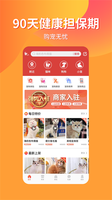 宠物市场原版图1
