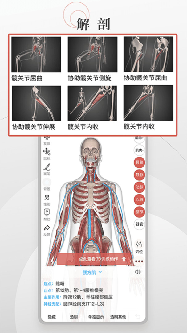 第三人体官方版图3