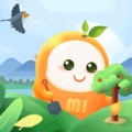 乐米生活最新版