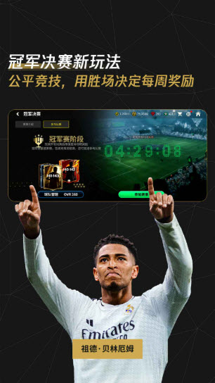 FC足球世界(1)