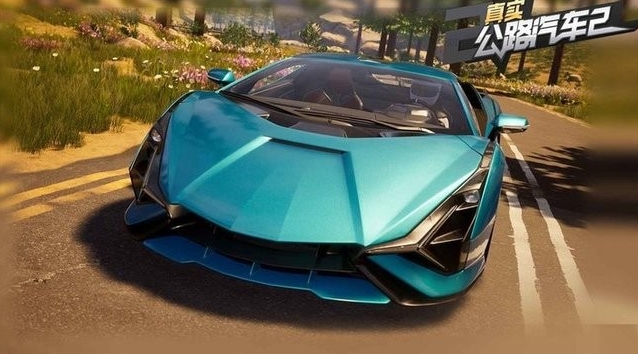 真实公路汽车2无限金币版(4)