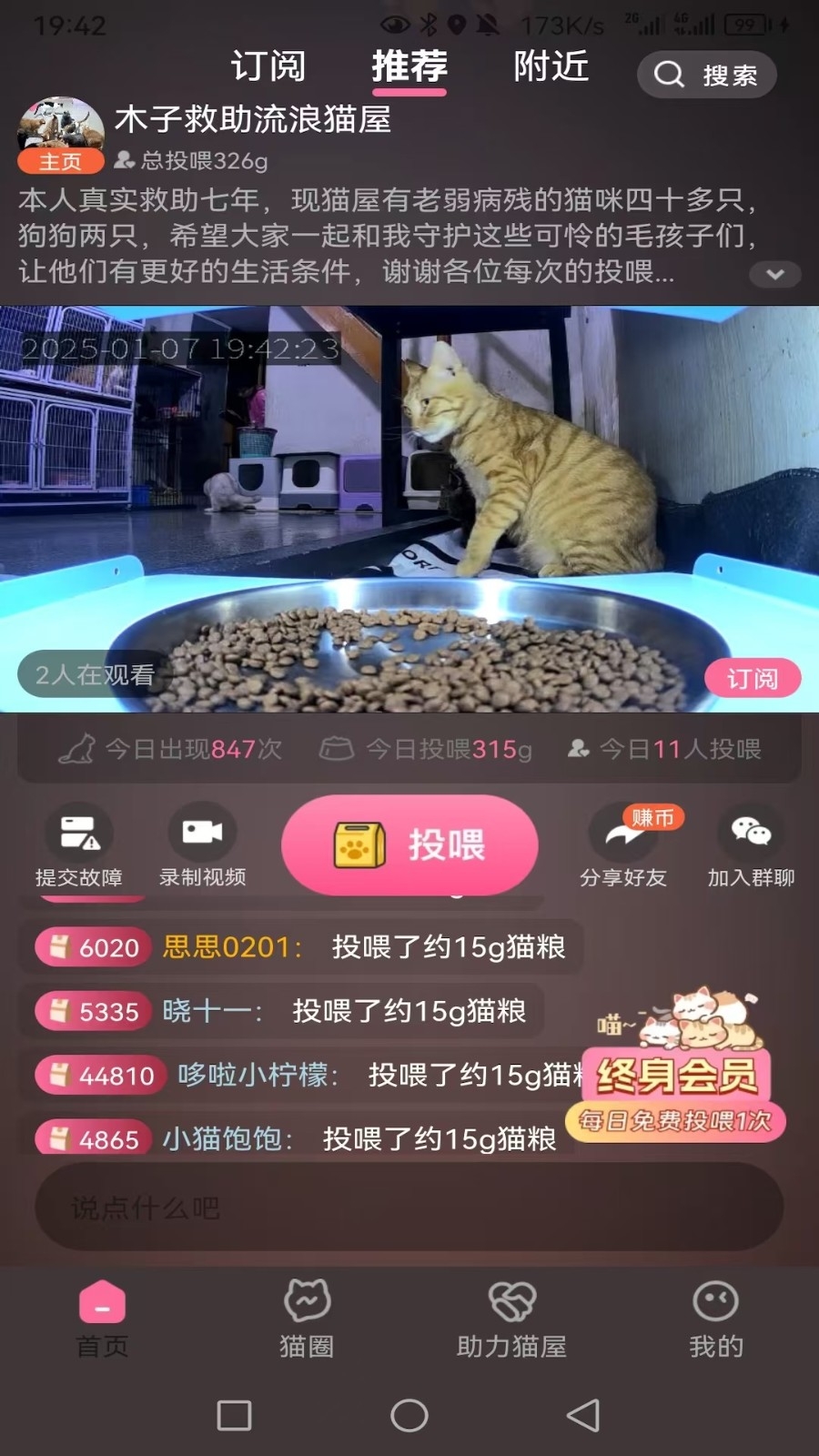 途猫图1